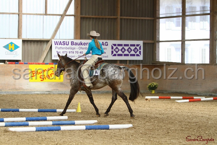 26-ApHC GT_155.jpg